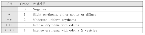 국제접촉피부염연구회의 판정기준