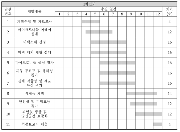 연구 개발 추진 일정