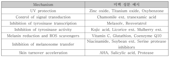 미백 메카니즘과 각 단계에서 작용하는 대표적 미백 성분