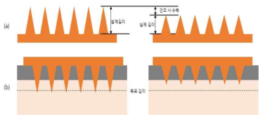 (a)건조 공정 시 발생할 수 있는 마이크로니들의 수축, (b)마이크로니들의 수축과 피부 투과 깊이와의 관계