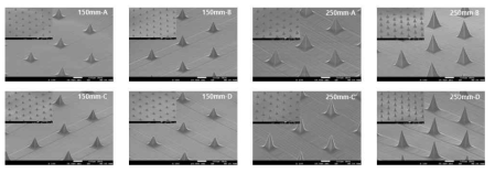 sample A, B, C, D 150㎛, 250㎛ SEM images