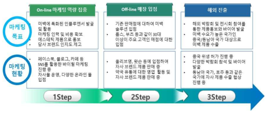 마케팅 현황 및 단계적 유통망 확보 전략