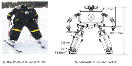 Anthropomorphic Lightweight EXtreme bIped(ALEXI)