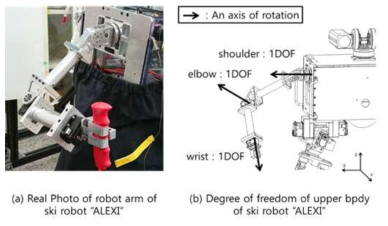 스키로봇 상지의 자유도