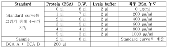 BSA 정량표