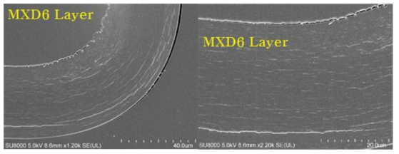 다층 맥주병 중층(MXD6층)의 단면사진 (SEM)