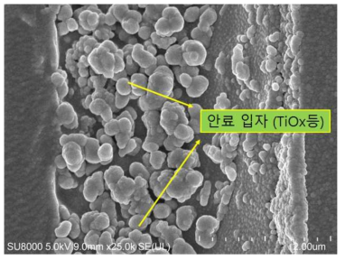 인쇄 및 코팅층 단면(Binder 및 PVOH제거후)–다층필름 포장재