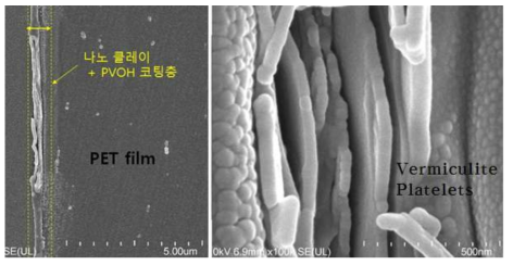 나노클레이 코팅 PET film의 코팅 단면