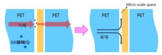 시중유통 맥주병의 층 구조와 용매의 이행 모델