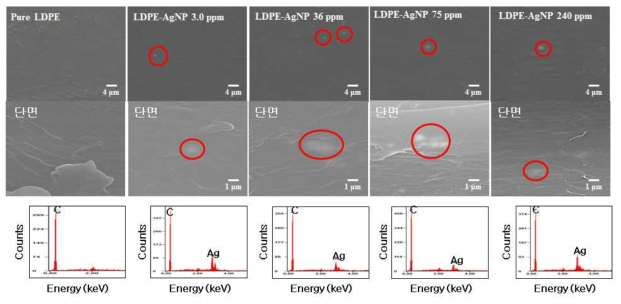 은나노입자를 적용한 LDPE 표면(위) 및 단면(중간) 주사전자현미경(SEM) 사진과 에너지 분산형 X-선(EDX) 분석(아래) 결과
