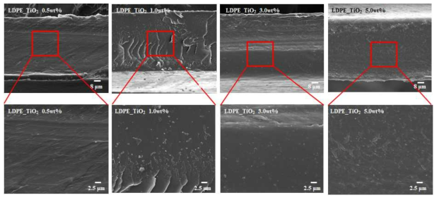 LDPE-TiO₂ 시편의 파단면 주사전자현미경 사진