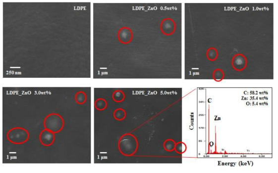 LDPE-ZnO 시편의 표면 주사전자현미경 사진 및 EDS 분석 결과