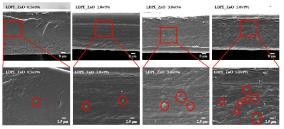 LDPE-ZnO 시편의 파단면 주사전자현미경 사진