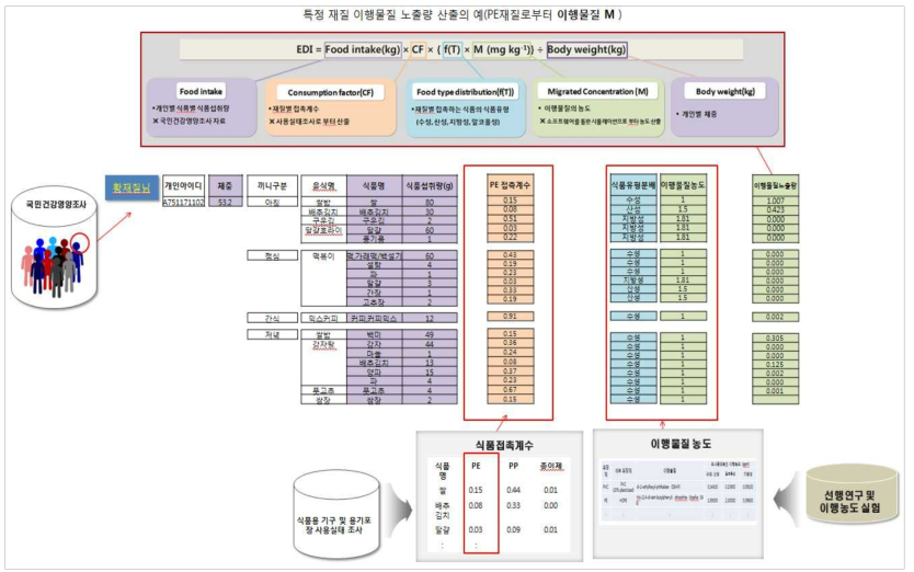 개인별 식품섭취량 기반 노출량 평가 모델의 개념도