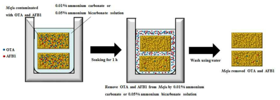 Model on the soaking method of 0.01% ammonium carbonate or 0.05% ammonium bicarbonate to reduce OTA and AFB1 from Meju