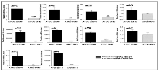 Comparison of aflatoxin producing genes in A. flavus ATCC 9643(non-aflatoxin producing species) and A. flavus ATCC 22546(aflatoxin producing species).