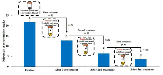 Treatment frequency of Bacillus subtilis entrapped in alginate bead for the desired OTA reduction in soysauce.