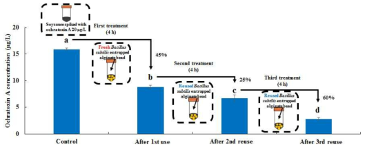 Reuse frequency of Bacillus subtilis entrapped alginate in bead for the desired OTA reduction in soysauce.