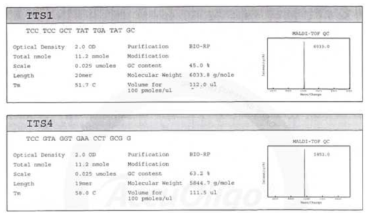 Internal Transcribed Spacer (ITS)1 및 ITS4의 primer 염기서열 및 특성