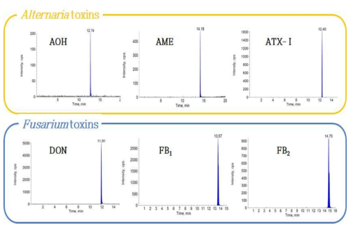 확립된 LC-MS/MS 조건을 이용한 각 독소의 extracted ion chromatography(XIC) spectra.