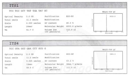 Internal Transcribed Spacer ITS1 및 ITS4의 primer 염기서열 및 특성