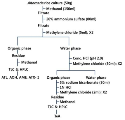 메탄올을 이용한 Alternaria 독소 추출 방법.