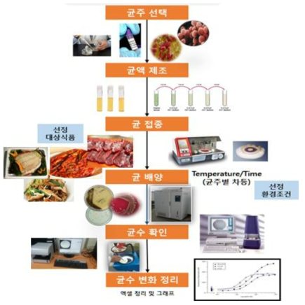 8종의 식중독균별 대상식품에 대한 생육특성(성장 중심) 실험 diagram