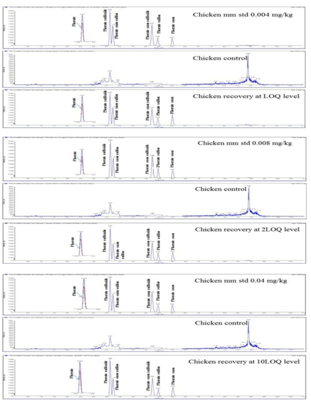 닭고기 중 포레이트 및 대사산물의 standard, control, recovery 크로마토그램