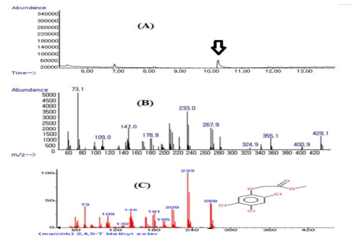 2,4,5 methyl ester의 GC-MS 표준품 확인 시험 크로마토그램.