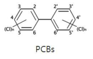 PCBs의 구조