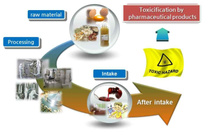 의약품제조공정중 비의도적인 유해물질의 발생경로