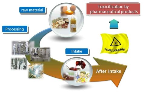 의약품 제조공정중 비의도작인 유해물질의 발생경로