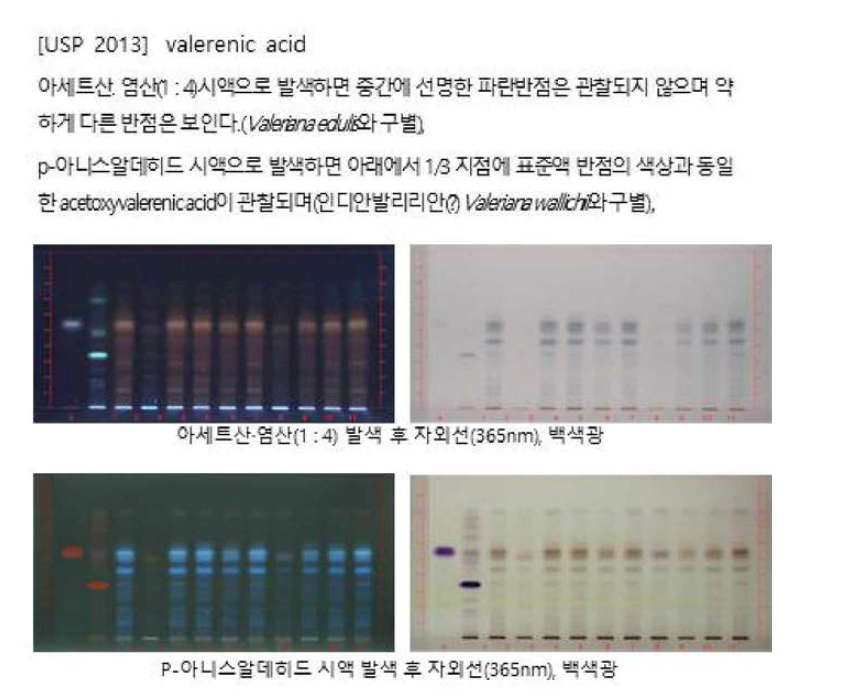 미국약전 길초근 확인시험법 실험 결과