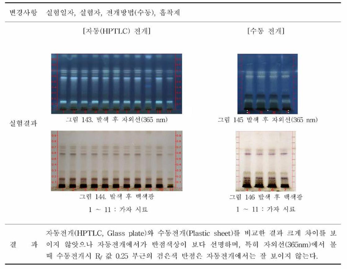 확인시 험 밸리데이션