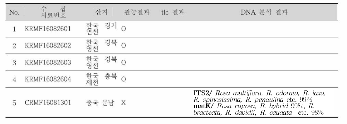 시료 정보