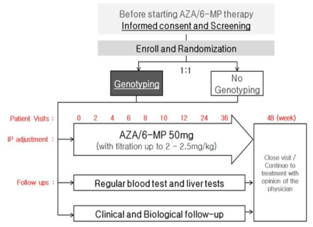 염증성 장질환 환자에서 AZA/6-MP 이상반응 관련 유전자 검사 시행 여부에 따 른 전향적, 무작위배정, 대조군 비교 연구