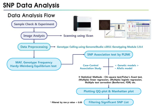SNP Chip 데이터 분석 흐름도