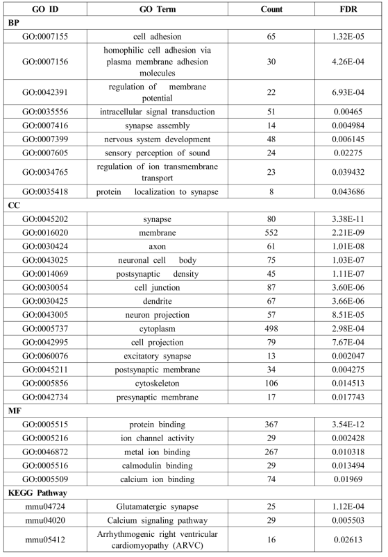 Over-representation of Gene Ontology of Genes related to Korl-specific SNP