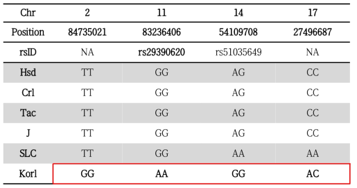 C57BL/6NKorl 고유 SNP marker