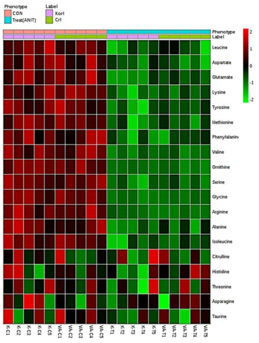 대사체 분석 결과에 의한 Heat-map