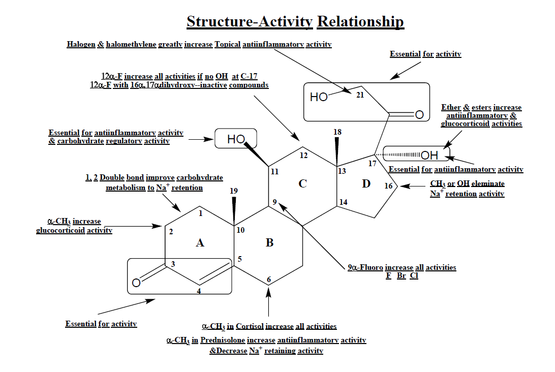 스테로이드의 구조-활성관계