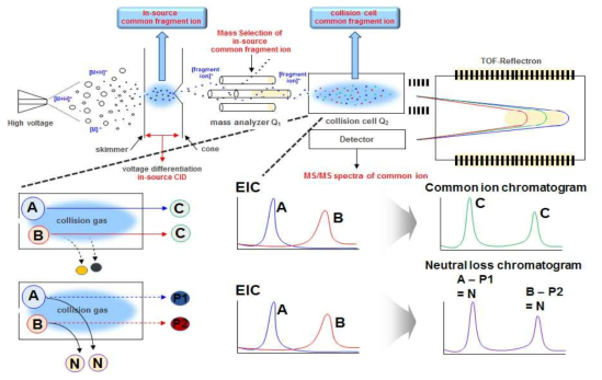 Common ion scanning and neutral loss scanning