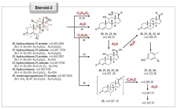 MS/MS fragmentation pathways of other steroids.