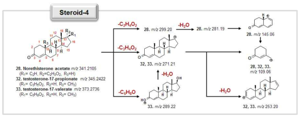 MS fragmentation pathways of other steroids.