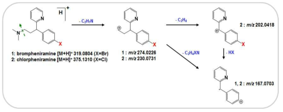 MS/MS fragmentation pathways of tertiary amine-containing antihistamines.