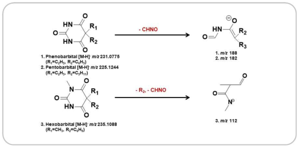 MS/MS fragmentation pathways of barbiturate analogues.