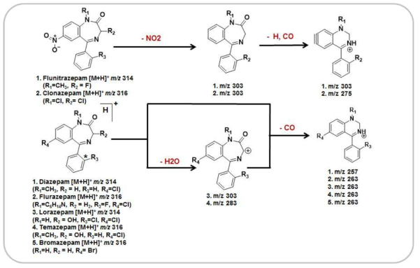 MS/MS fragmentation pathways of psychotropic amphetamine analogues
