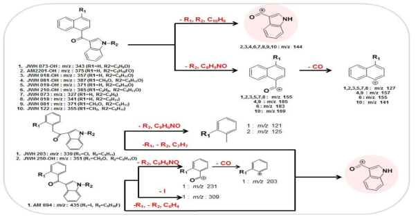 MS/MS fragmentation pathways of synthetic cannabinoids