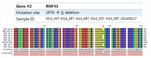유전체 DNA 상에서 PCR과 생어염기서열분석으로 검증된 RNF43 c.1976delG 돌연변이