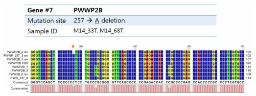 유전체 DNA 상에서 PCR과 생어염기서열분석으로 검증된 PWWP2B 돌연변이